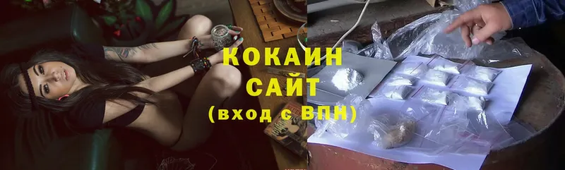 Кокаин Fish Scale  наркошоп  мега как войти  Москва 